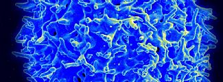 Corona Virus - Information - Sandbanerne